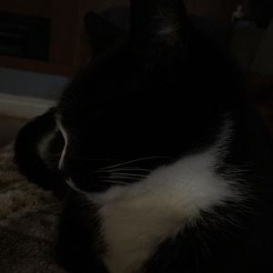 Meet your Posher, Jared